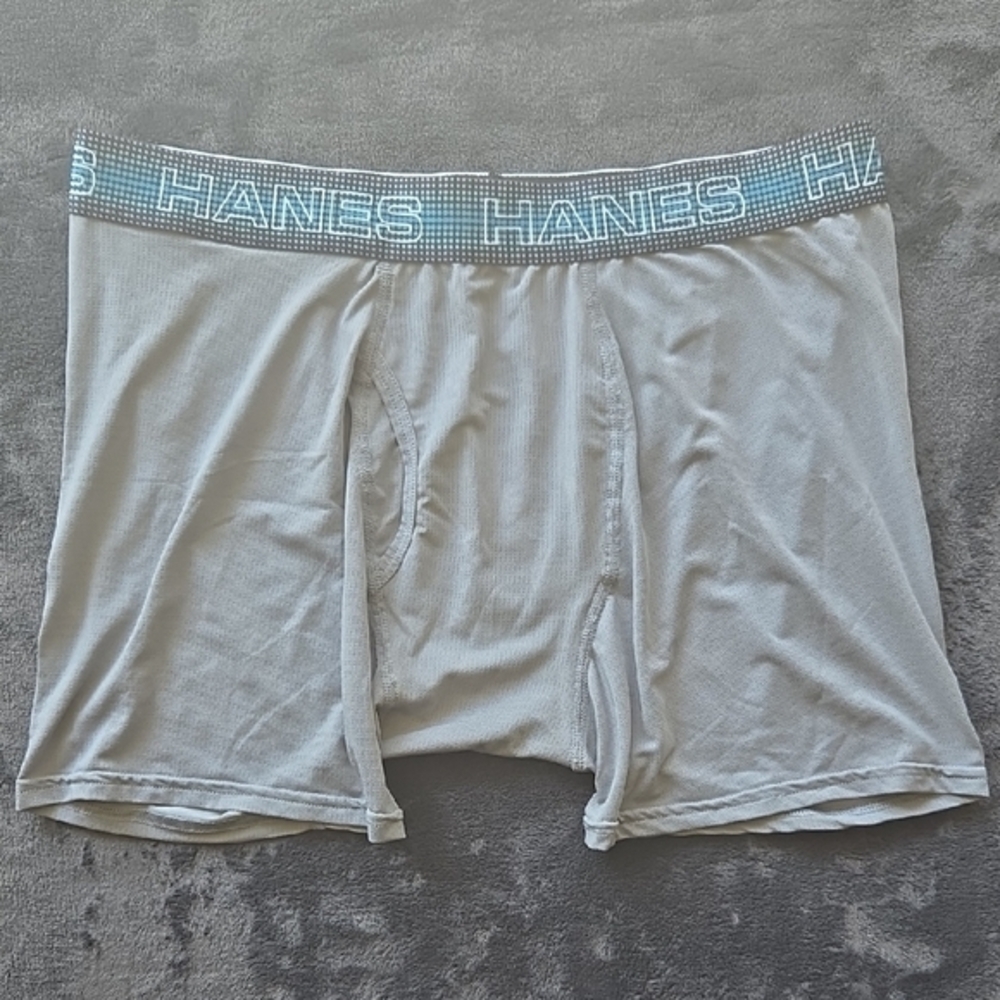 Hanes Gray Boxer Briefs with Elastic Waistband